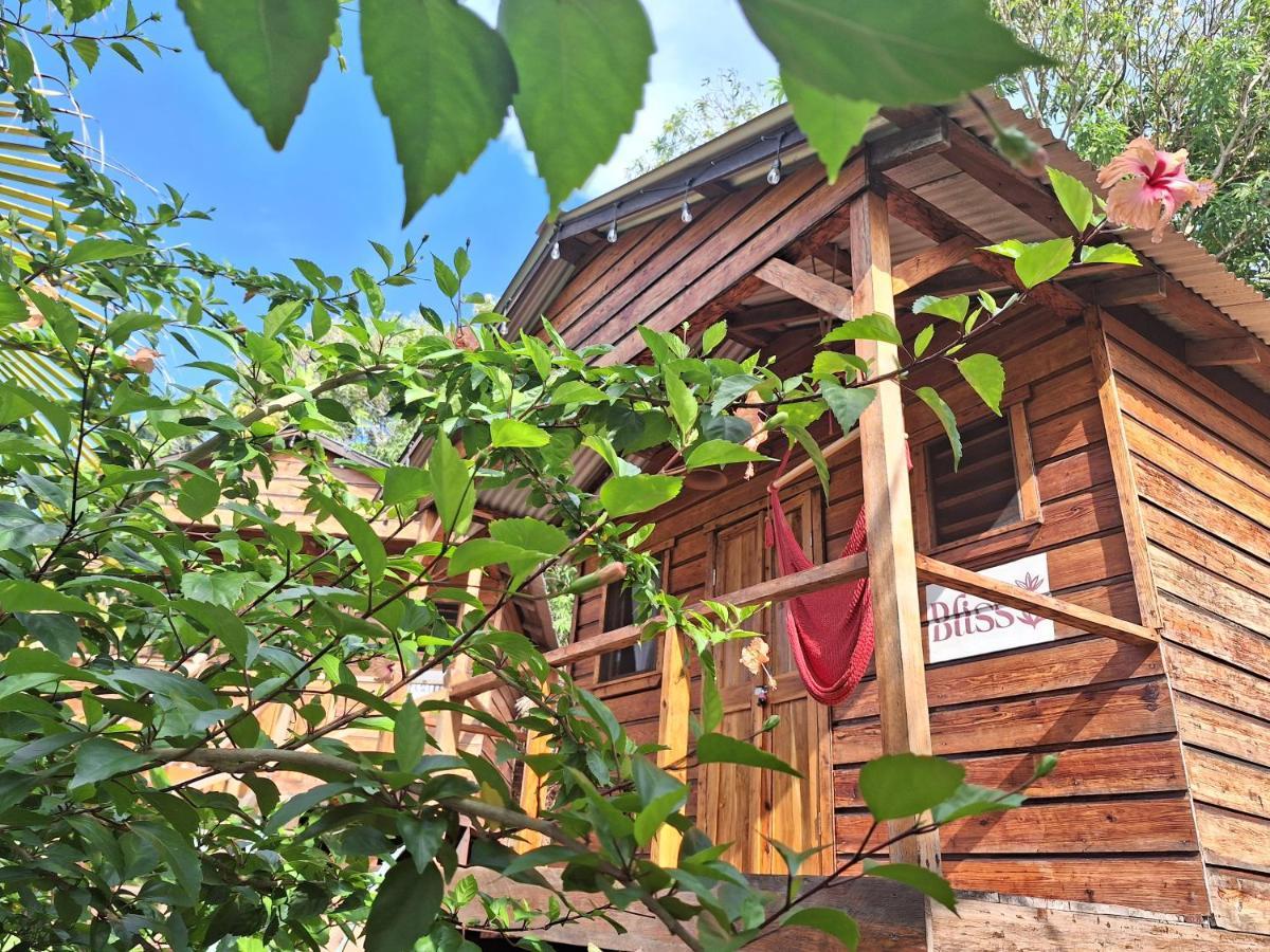 فندق The Lighthouse Retreat, Little Corn Island, Nicaragua المظهر الخارجي الصورة