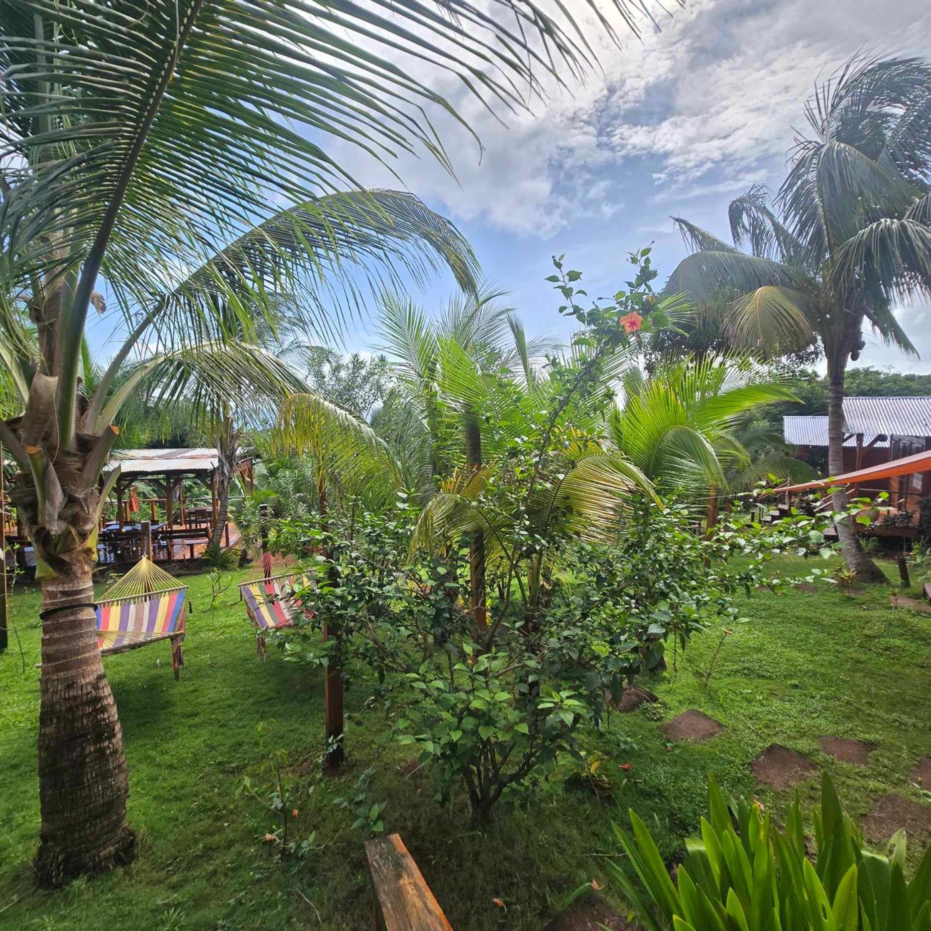 فندق The Lighthouse Retreat, Little Corn Island, Nicaragua المظهر الخارجي الصورة